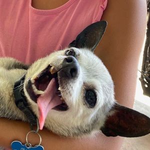 Meet your Posher, Ricardo